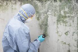 Best Air Quality Testing for Mold Spores  in Onalaska, TX